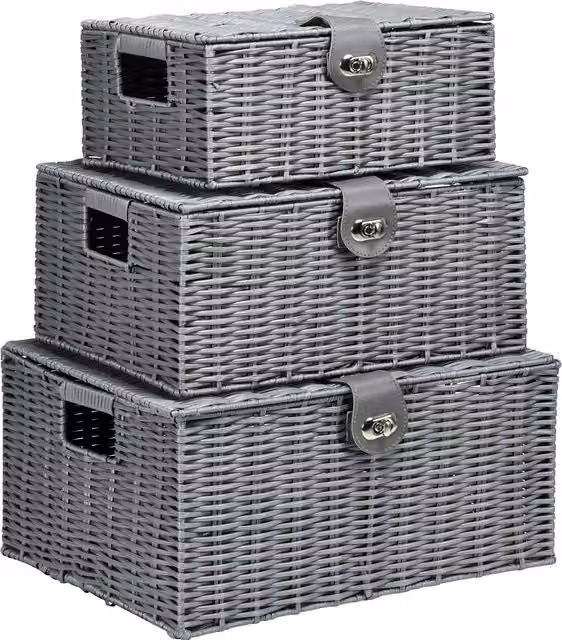Set di 3 cesti in rattan e plastica con coperchio HOMCOM, colore grigio, soluzione versatile per l'ordine della casa