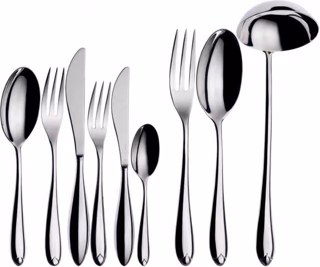 Set di posate Venezia Casa Bugatti 75 pezzi in acciaio inox argento con scatola Gallery e manico cavo