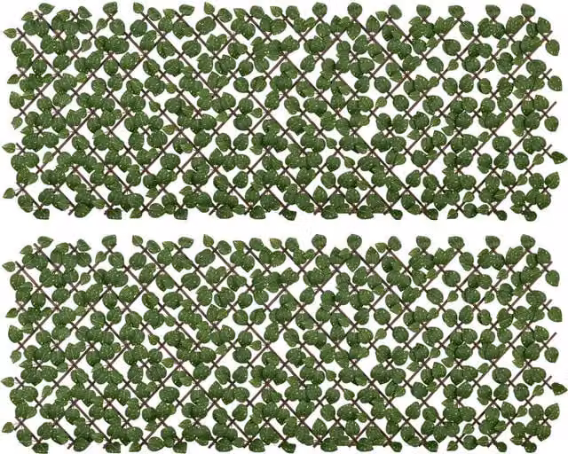 Siepe artificiale di Pothos Outsunny verde in seta e plastica PE, L 200 cm x H 100 cm