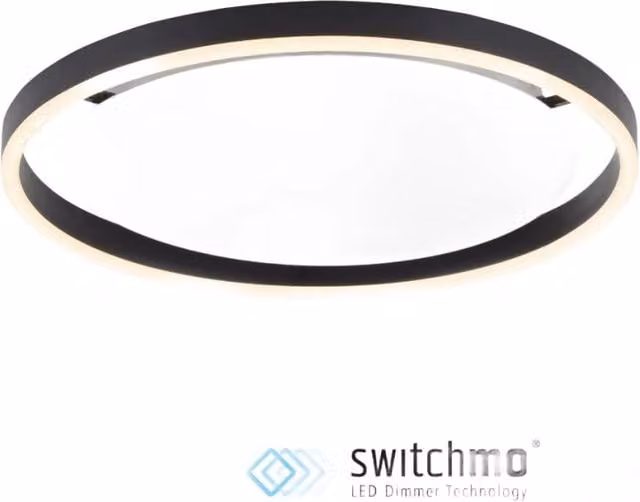 Plafoniera LED RITUS Paul Neuhaus moderna in metallo, luce bianca calda, diametro: 39,3 cm