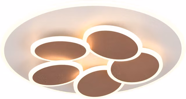 Plafoniera LED Trio Leuchten in metallo marrone con design moderno e rotondo, D 50 cm