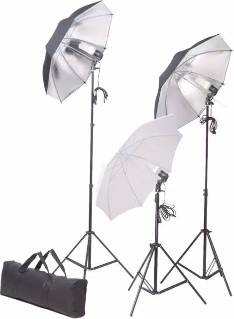 Kit Studio Fotografico Professionale vidaXL con Luci, Ombrelli, Fondale e Riflettore