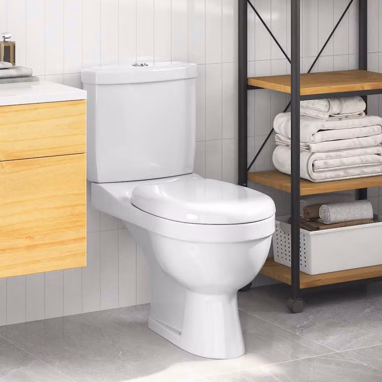 WC con cisterna vidaXL in ceramica bianca L: 76 cm, P: 39 cm, H: 70 cm