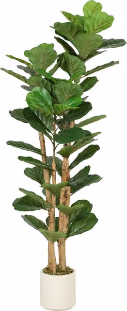 Pianta di Fico Artificiale Verde HOMCOM con Vaso in Cemento e Legno, H 150 x L 50 x P 50 cm