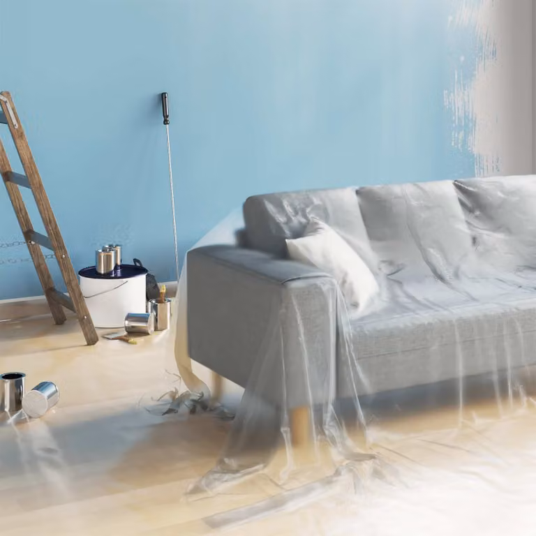 Set di 6 fogli antipolvere in plastica trasparente vidaXL, L 500 cm x P 400 cm
