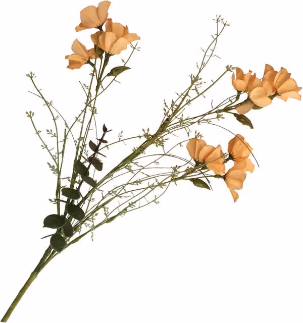 Alstroemeria arancio THUN composizione floreale mista