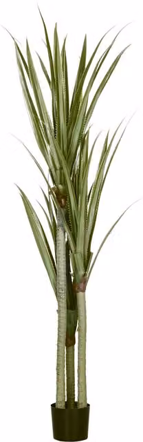Pianta artificiale Yucca HOMCOM verde con 39 foglie in vaso di cemento e PEVA, Altezza: 190 cm