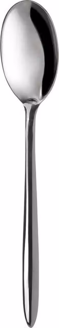 Cucchiaio in acciaio inox lucido color argento Eme