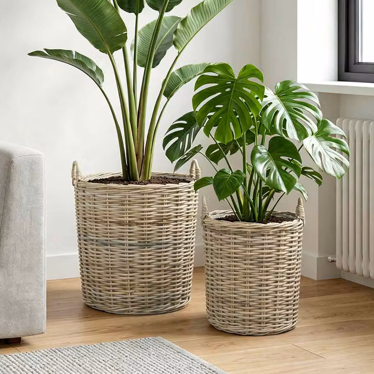 Set di 2 cestini per piante vidaXL GENDT in rattan Kubu, colore grigio e beige, con maniglie e struttura pieghevole
