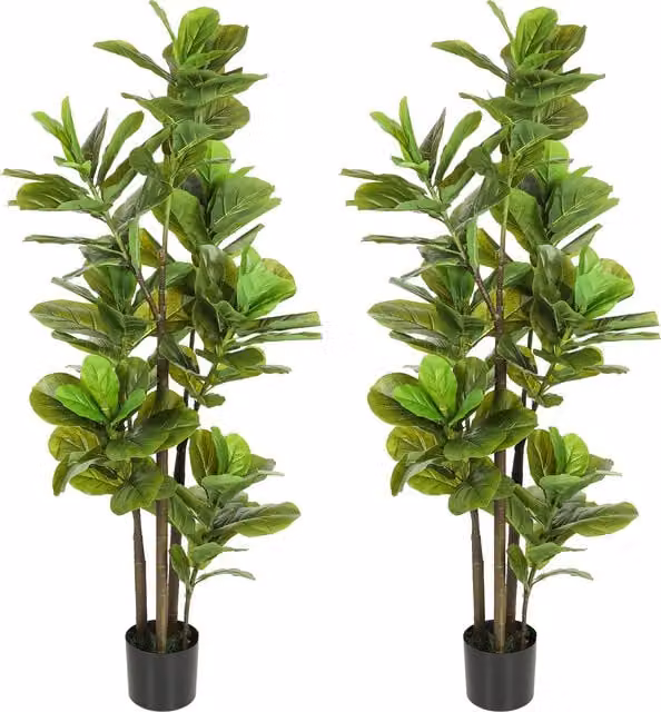Set di 2 piante artificiali Ficus Lyrata HOMCOM con vaso in cemento, Altezza: 150 cm, Verde