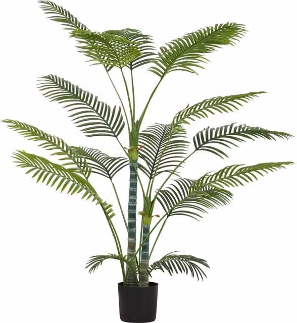 Pianta Artificiale Decorativa Palma HOMCOM Verde con Vaso, Altezza: 170 cm