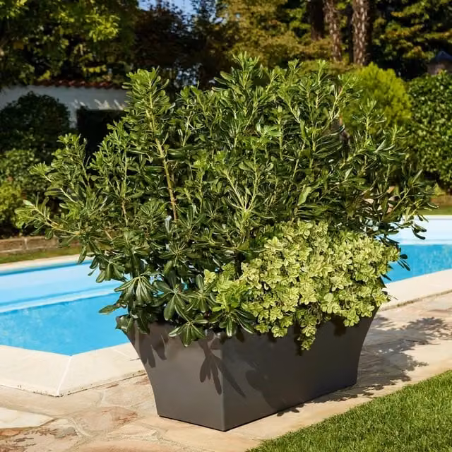 Fioriera Moderna Liscia Svasata Garden Italia ECSL in Resina, Colore Antracite, L: 90 cm, P: 35 cm